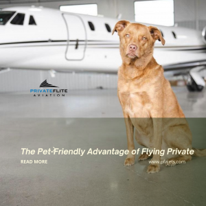 The Pet-Friendly Advantages of Flying Private